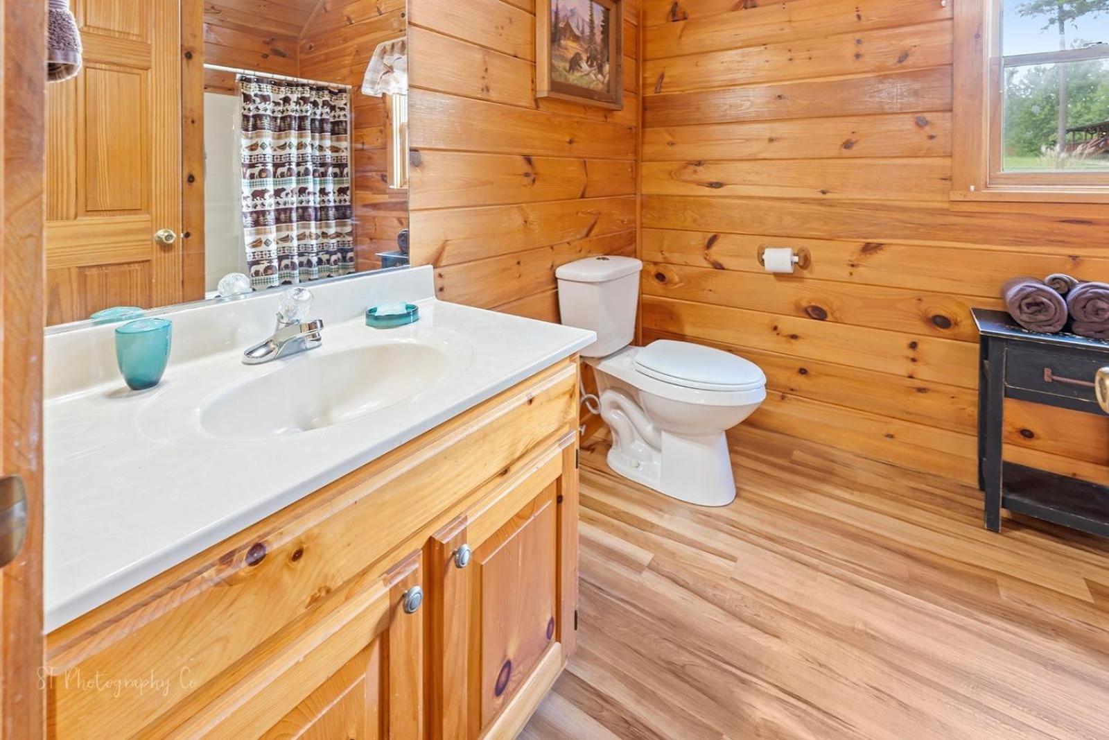 Hibernation Station Cabin Sevierville Kültér fotó